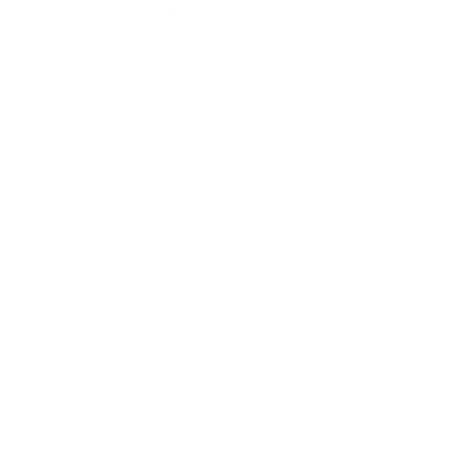 Vertical Evolution Logo